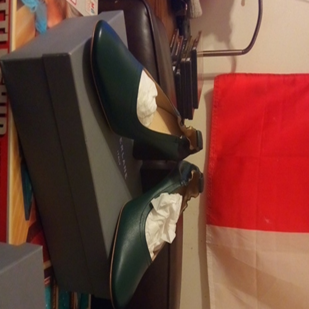 Everlane day higher heel